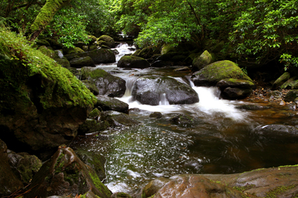 

Aufnameort: irl killarney np
