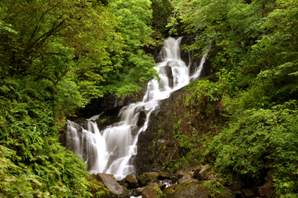 

Aufnameort: irl killarney np
