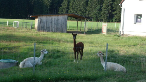 

Aufnameort: Mehlmeisel (Ortsteil Bärenschlag)
