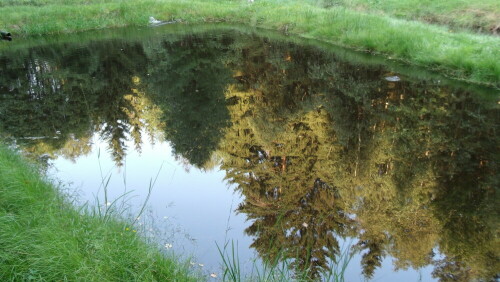 

Aufnameort: Mehlmeisel (Ortsteil Bärenschlag)
