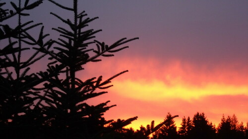 abendrot-uber-dem-wald-bei-fichtelberg-7504.jpeg