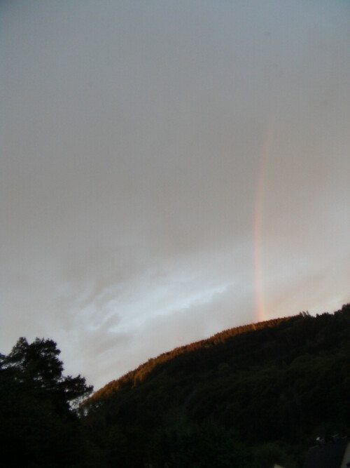 Regenbogen - Brechung der Sonnenstrahlen an Regentropfen gemäß einem Prisma.

Aufnameort: Eiershausen Schwarzbachtal
Kamera: Medion digitaler Full-HD-Camcorder mit Touchscreen