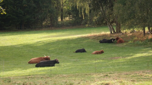 siesta-am-sonntagnachmittag-7567.jpeg