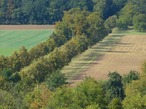 

Aufnameort: Triesdorf
Kamera: Panasonic Lumix FZ150