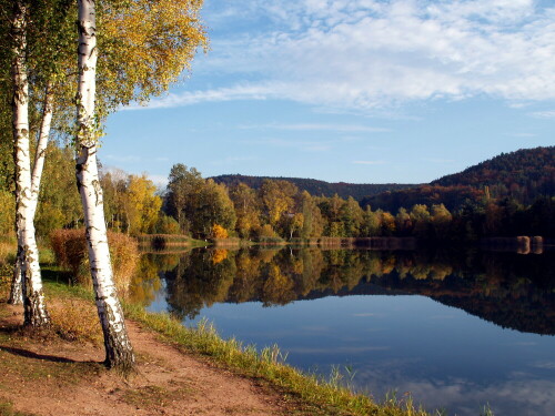 herbstspiegelung-23727.jpeg