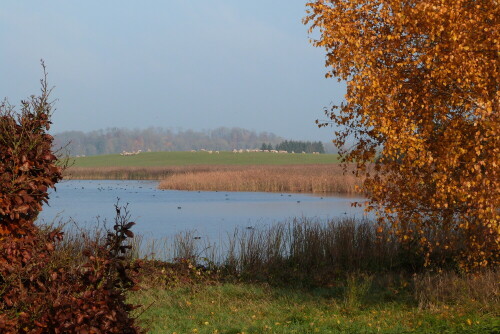 Die Spitze des Etang de Lindre (nur 1,50 m tief) in Lothringen

Aufnameort: Etang de Lindre/Lothringen/Frankreich
Kamera: Lumix FZ48