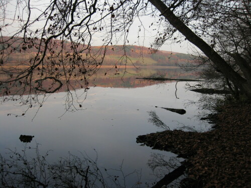 herbst-am-mindelsee-14821.jpeg