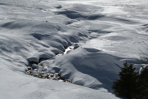 Kleiner Bach im unberührten Schnee. Plätzwiese, Pragser-
Dolomiten/Südtirol-Italien.

Aufnameort: Plätzwiese/Südtirol auf 2000 m
Kamera: Lumix FZ48