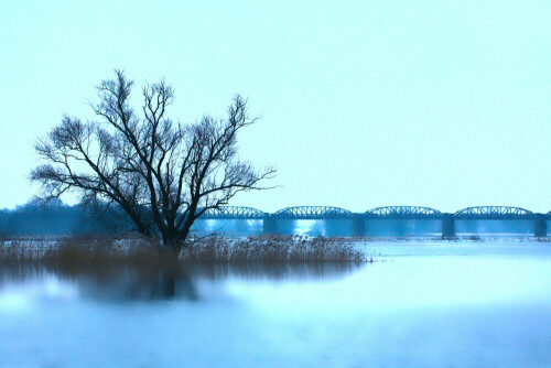 Die Elbe im winterlichen Glanz - vom Hochwasser geprägt.

Aufnameort: Nähe Dömitz
Kamera: Canon eos 450d