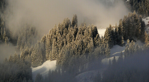 

Aufnameort: Montafon, Österreich
Kamera: Lumix DMC-FZ50