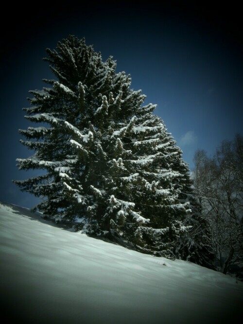 

Aufnameort: Salzachtal, Nähe Krimml, Österreich
Kamera: Nikon Coolpix 5100