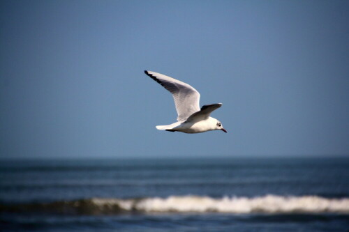 

Aufnameort: Pinarella di Cervia
Kamera: Canon 60D