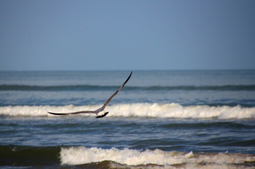 

Aufnameort: Pinarella di Cervia
Kamera: Canon 60D