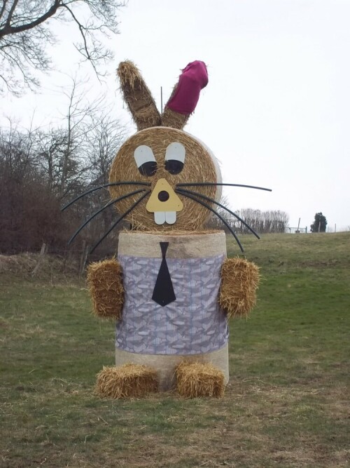 der-osterhase-7910.jpeg