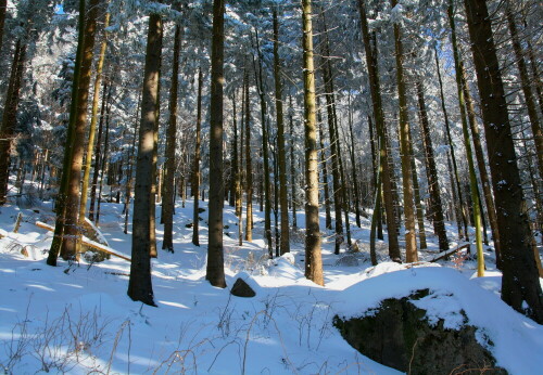 Verschneiter Winterwald im Schwarzwald

Aufnameort: Wanderweg Bühlerhöhe Schwarzwald nähe B500
Kamera: Canon EOS 1000D