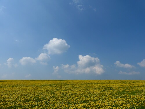 landschaft-bei-rothenburg-ob-der-tauber-7891.jpeg