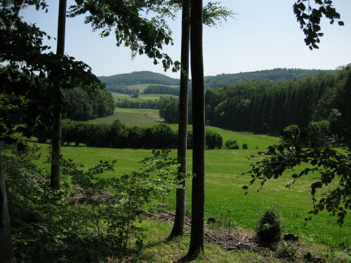 Kressenberg im deutsch-schweizerischen Grenzgebiet bei Schienen

Aufnameort: Schienen
