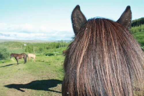 schatten-im-blick-8207.jpeg