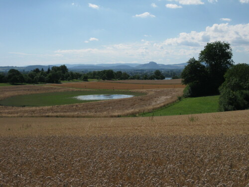 Der zwischen Bodensee und Mindelsee gelegene Litzelsee ist ein temporäres Gewässer. Bei diesem Naturdenkmal soll das einzige deutsche Vorkommen des Kleinkrebses Dunhevedia crassa zu finden sein.

Aufnameort: Markelfingen, Deutschland
