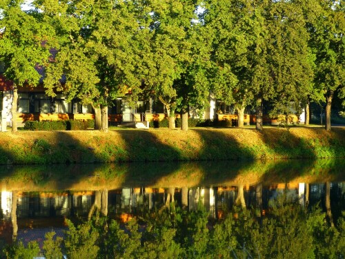 spiegelung-am-weiher-in-triesdorf-8319.jpeg