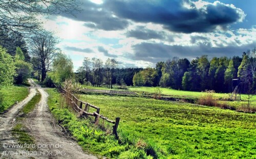 landschaft-bei-funfeichen-eisenhuttenstadt-8372.jpeg