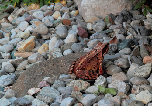 

Aufnameort: Bad Kleinkirchheim
Kamera: Canon 60D