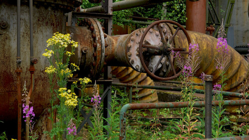 Da, wo einst die Montanindustrie die Natur verdrängte, erobert diese jetzt ihr Terrain zurück.

Aufnameort: Dortmund, Kokerei Hansa
Kamera: Panasonic DMC-G6