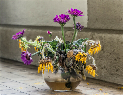 So sehen Blumen auf dem Balkon aus,wenn sich 14 Tage keiner um sie kümmert.

Aufnameort: Koblenz
Kamera: Canon EOS 5D Mark II