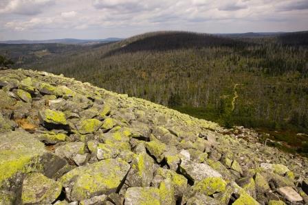 blick-vom-lusen-nach-tschechien-8645.jpeg