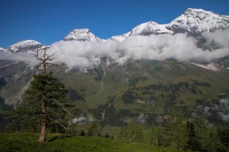 

Aufnameort: österreich tauern
