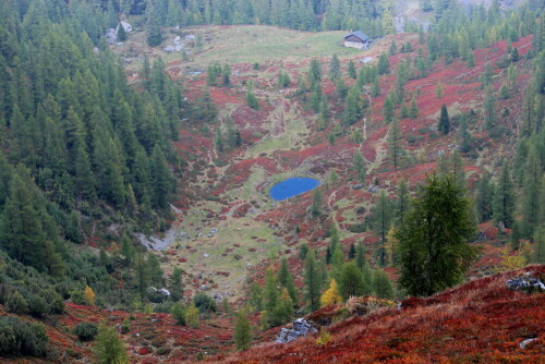 Die Farben waren tatsächlich so intensiv, ich habe das Bild nicht nachbearbeitet.

Aufnameort: Südflanke des Wöllaner Nock, Kärnten 28.09.2013
Kamera: Canon EOS 600D, 1/100; 5,6; 55,0mm; ISO 100