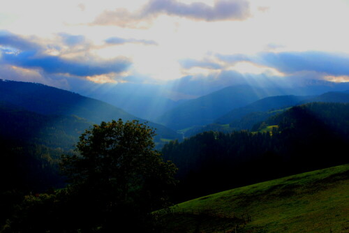 Fotografiert bei einer Wanderung über dem Mettnitztal in Kärnten, mit Blick auf die Region der Nockberge

Aufnameort: Oberhalb Mettnitz, Nordseite, 02.10.2013
Kamera: Canon EOS 600D 1/200; 6,3; 28,0mm; ISO 100