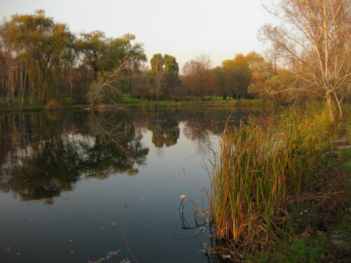 botanischer-garten-chisinau-9123.jpeg