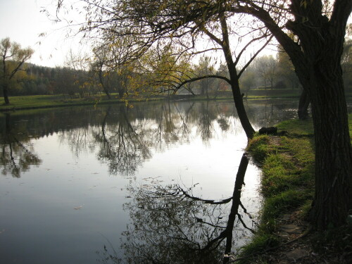 botanischer-garten-chisinau-9124.jpeg