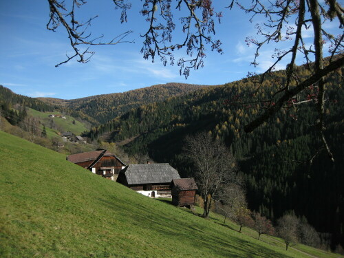 Oberes Gurktal, Lärchen mit Herbstwald

Aufnameort: Gnesau, Österreich
