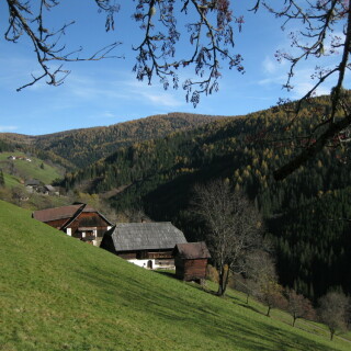 herbst-in-karnten-9105