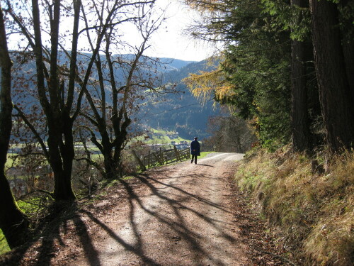 

Aufnameort: Gnesau, Österreich
