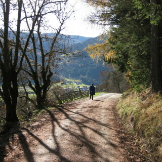 herbstspaziergang-9107