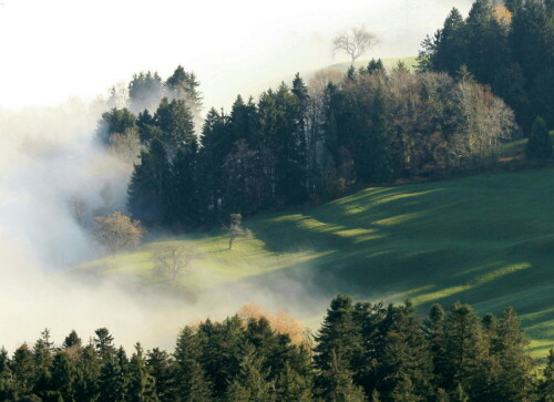 am-etzel-hoch-uber-dem-nebelgrau-schweiz-9086.jpeg