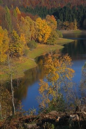 herbst-an-der-wahnbachtalsperre-9179.jpeg