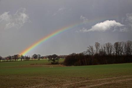 regenbogen-am-haarstrang-9177.jpeg