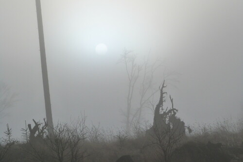 Während eines Spazierganges aufgenommen. Die Sonne
schafft es nicht durchzubrechen.

Aufnameort: Korbach/Landkreis Waldeck/Frankenberg
Kamera: Lumix FZ 48