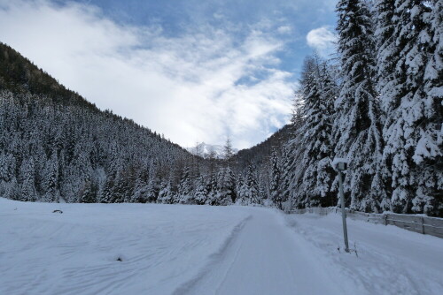 winter-im-gsiesertal-9537.jpeg