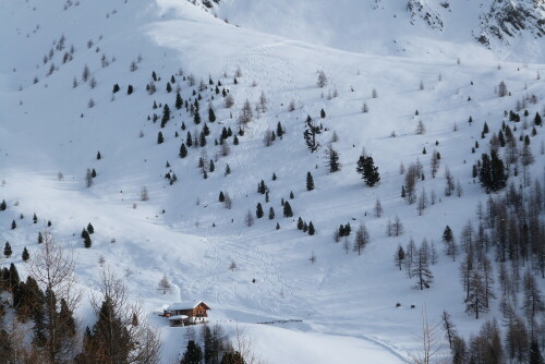 Die Spuren der Tourengeher sind überall (vereinzelt) zu sehen.

Aufnameort: Gsiesertal/Südtirol/Italien
Kamera: Lumix FZ48