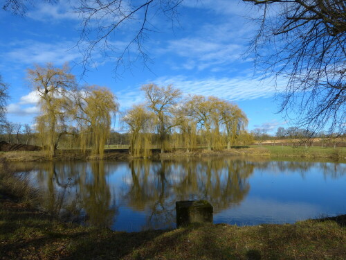 badeweiher-in-triesdorf-10069.jpeg