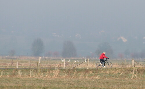 landschaft-mit-rot-10063.jpeg