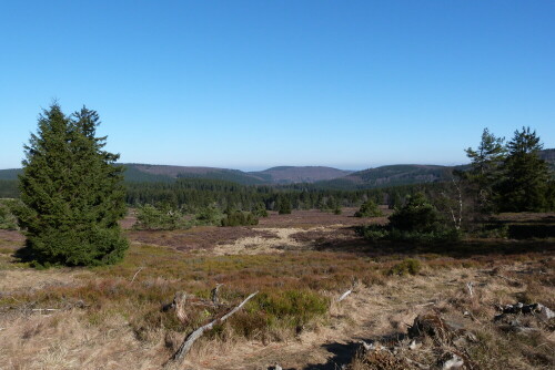 Die Hochheide (ca. 800 m Höhe) bei Willingen/Waldeck

Aufnameort: Willingen/ Waldeck
Kamera: Lumix FZ48