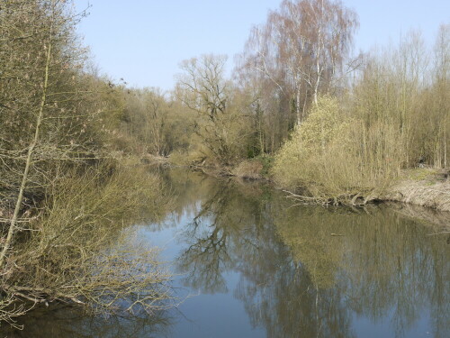 Dieses Bild ist der "Gegenschuss" des zuvor hochgeladenen Bildes (Gegenlichtaufnahme). Er zeigt den gleichen Altwasserarm und die Insel (Rechts), jetzt allerdings "mit dem Licht".

Aufnameort: Essen-Überruhr
Kamera: Lumix G 1