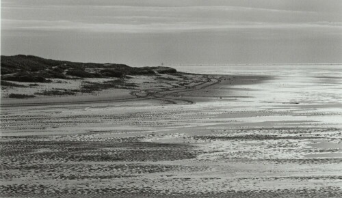 Dünenbildung auf der Sandbank,Schwarzweiß mit chromogenem Film aufgenommen

Aufnameort: St.Peter-Bad,Sandbank
Kamera: Contax Aria, 135mm, analoge Aufnahme - digitalisiert