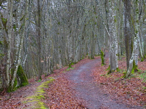 altmuhlpanoramaweg-bei-den-12-aposteln-10217.jpeg